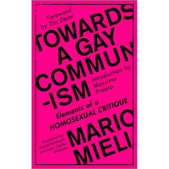 Towards a Gay Communism: Elements of a Homosexual Critique, (Paperback)