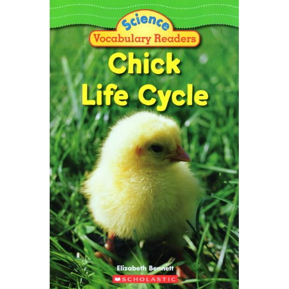 Pre-Owned Chick Life Cycle (Paperback) 0439876583 9780439876582