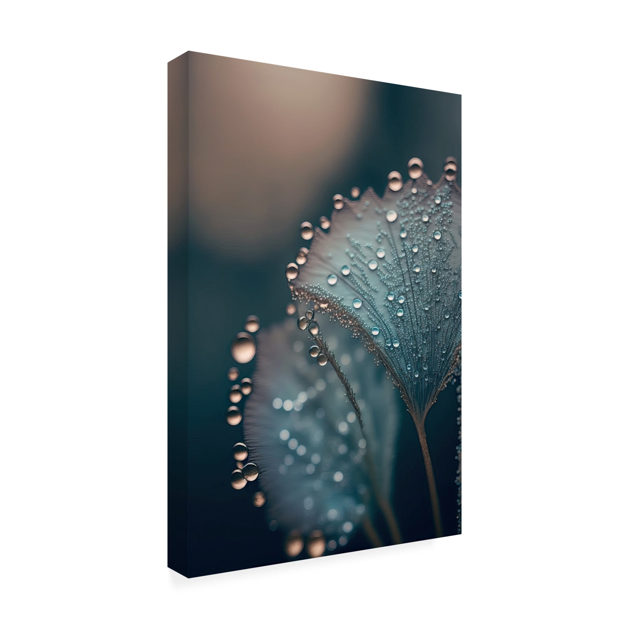 Canvas Wall Art - Treechild 'Wet Leafs' Wall Art for Living Room, Bedroom, or Office D?cor by Trademark Fine Art - 12 x 19 Inches