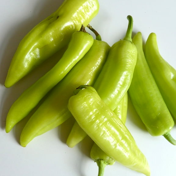 Pepper Seeds - Hot - Caloro - 1 g Packet ~180 Seeds - Capsicum annuum - Farm & Garden Vegetable Seeds - Non-GMO, Heirloom, Open Pollinated, Annual