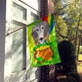 thumbnail image 2 of Caroline's Treasures BB1973CHF Saluki St. Patrick's Day Flag Canvas House Size , Large, multicolor, 2 of 4