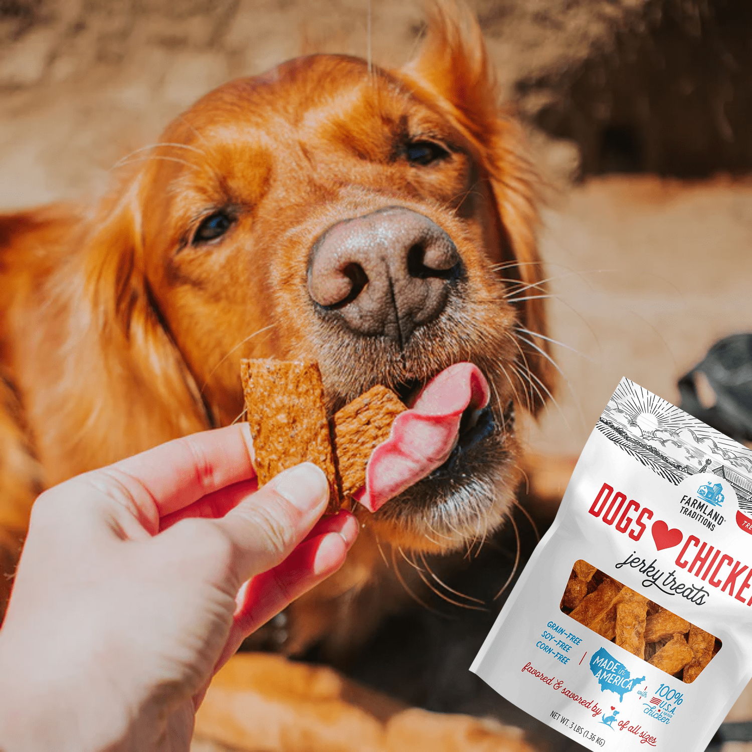 Farmland Tradition Dogs Love Chicken Premium Jerky Treats for Dogs, Made with Limited Ingredients, Zero Artificial Flavors, Protein Packed Treat Great for All Dog Sizes and Breeds 3Lbs Pack of 2