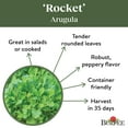 thumbnail image 5 of Burpee Organic Rocket Arugula Vegetable Seed, 1-Pack, 5 of 6