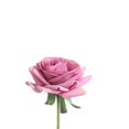 thumbnail image 3 of Bewildely Rosa Artificial Ramo Falso Seda Flores de Boda Fiesta Jardín Hogar Kits de decoración para fiestas violeta Bewildely JJ16225-08, 3 of 6