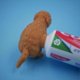 thumbnail image 5 of Hilarious Golden Retriever Puppy Poop Toothpaste Dispenser, Funny Toothpaste Dispenser, Pooping Dog Butt Toothpaste Topper, Golden Retriever Poop Toot, 5 of 5