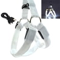 thumbnail image 3 of LED Dog Harness,USB Rechargeable Lighted Dog Harness,Comfortable Glow in Dark Dog Harness for Your Small Medium Large Dogs Night Safety Walking (White,S), 3 of 10