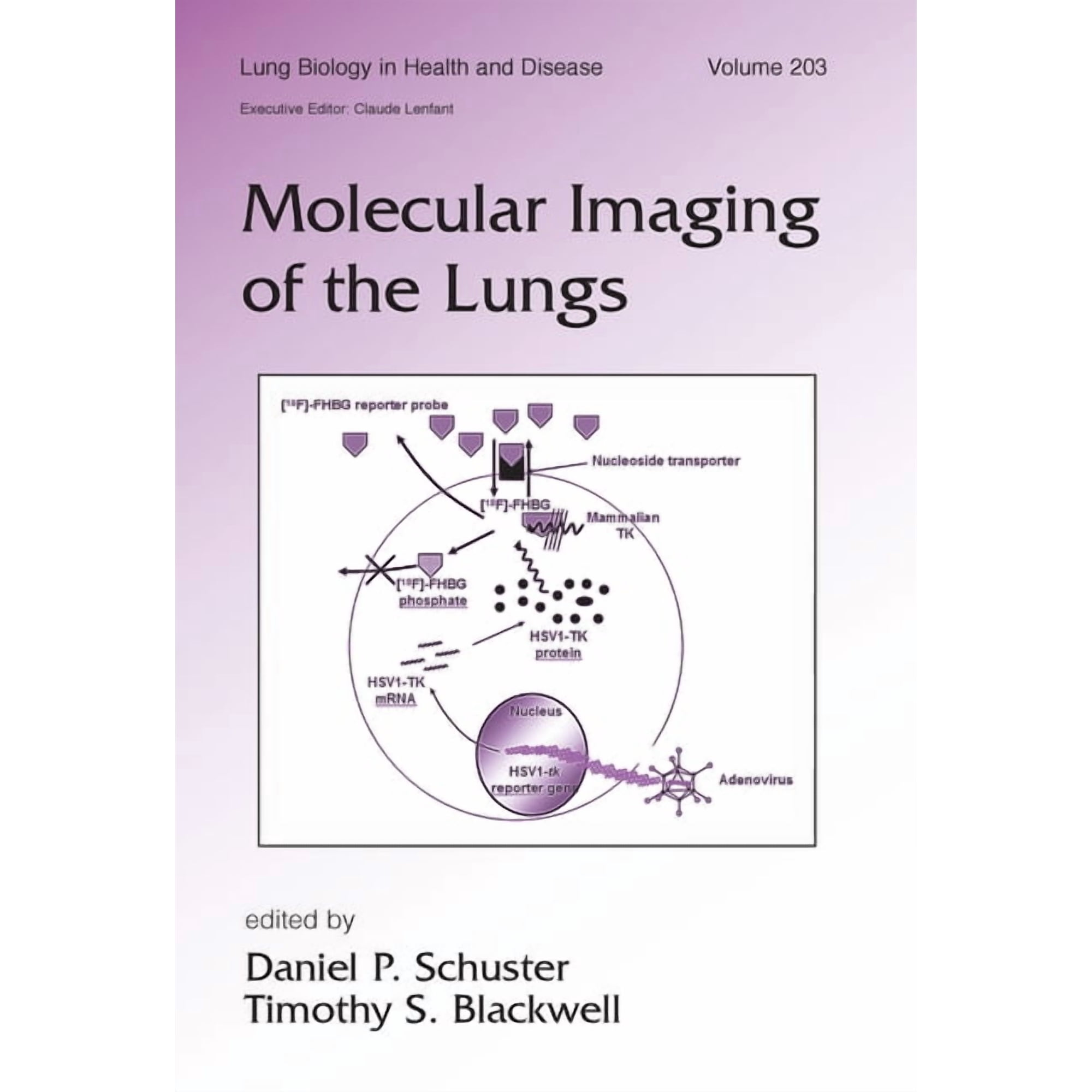 Molecular Imaging of the Lungs (Hardcover)