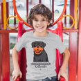 thumbnail image 3 of Tee Hunt Life is Better With My Rottweiler Youth T-Shirt Rottie Pet Dog Lover Kids, Gray, X-Large, 3 of 5