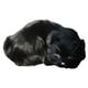 thumbnail image 2 of Figura de gato realista de peluche, juguete para decoración de Navidad y Año Nuevo. Negro, 2 of 9