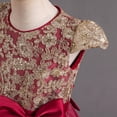 thumbnail image 4 of Vestido TTYAOVO para niña, boda, princesa, vestido de encaje con flores, talla 120, 4 of 7