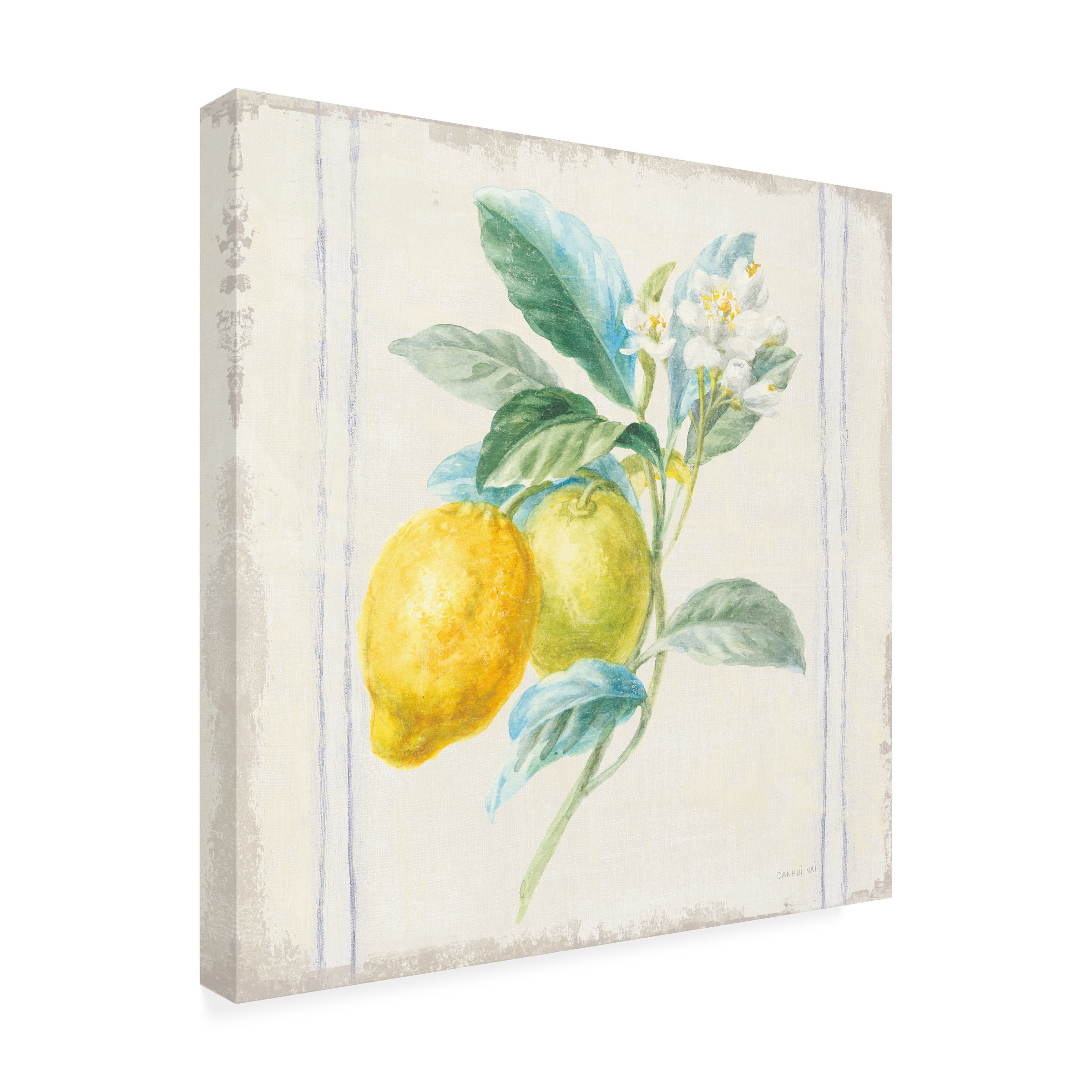 Trademark Fine Art 'Flour sack Lemons II Sq Navy' Canvas Art by Danhui Nai