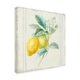 thumbnail image 4 of Trademark Fine Art 'Flour sack Lemons II Sq Navy' Canvas Art by Danhui Nai, 4 of 4