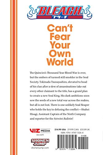 Bleach Can T Fear Your Own World Bleach Can T Fear Your Own World Vol 1 Series 1 Paperback Walmart Com