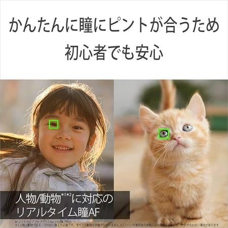 Image not found
