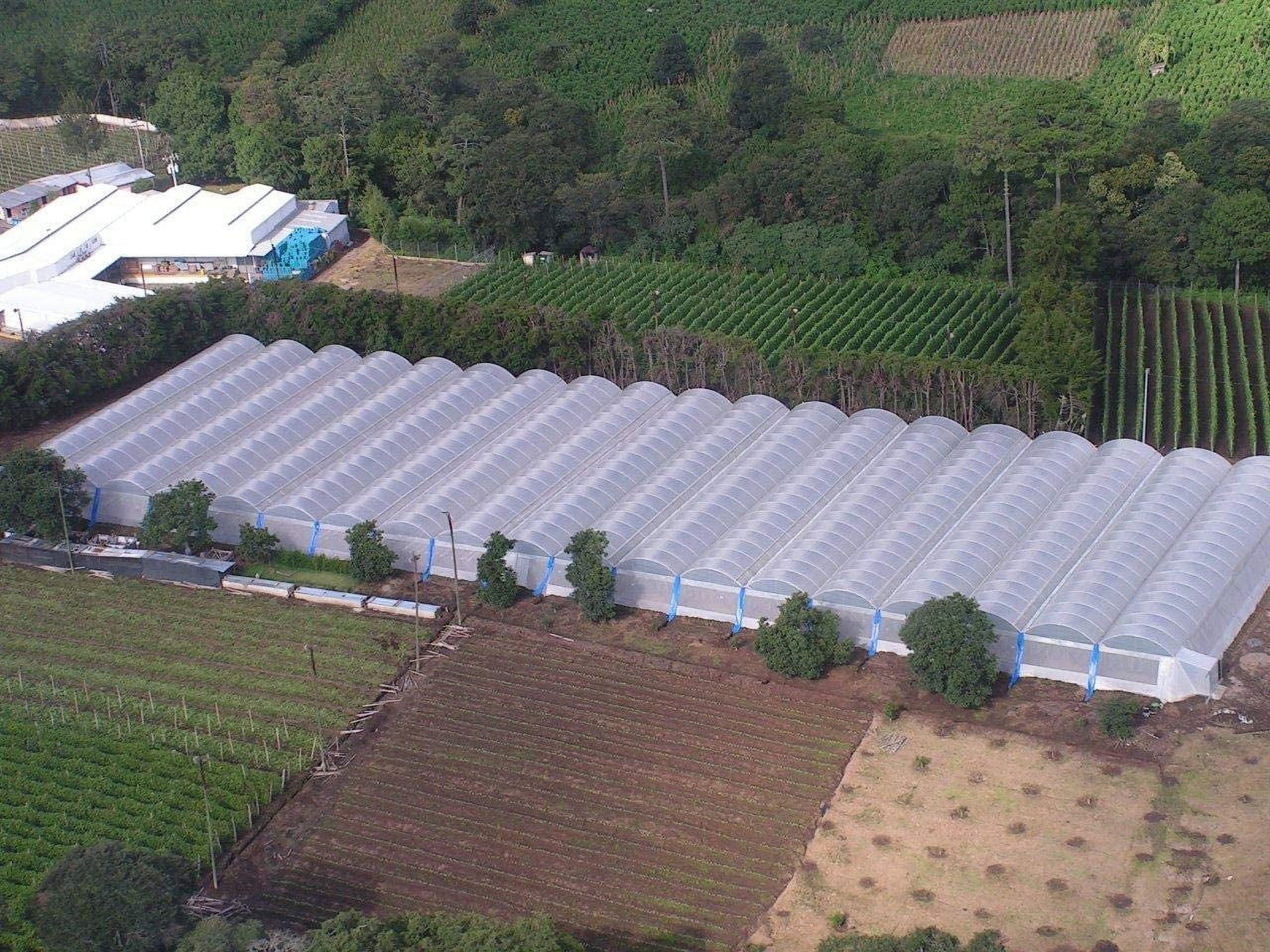 Greenhouse Plastic Clear 6 mil, 4 Year, Polyethylene Covering Film (12 ft. Wide x 25 ft. Long)