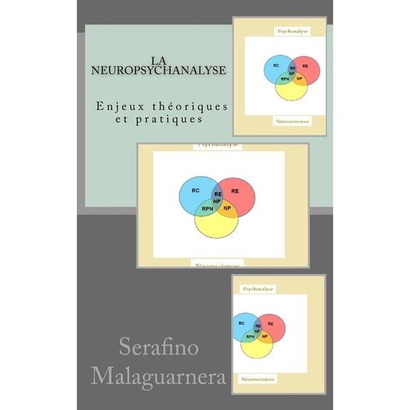 La neuropsychanalyse: Enjeux théoriques et pratiques (Paperback)