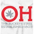thumbnail image 2 of Ohio Leaf it to Us Funny OH Local Womens Fitted Plus Size Graphic Tee Brisco Brands 2X, 2 of 5