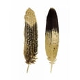 thumbnail image 3 of Bosco, Julia 12x14 Black Modern Framed Museum Art Print Titled - Gold Feather Pair, 3 of 5