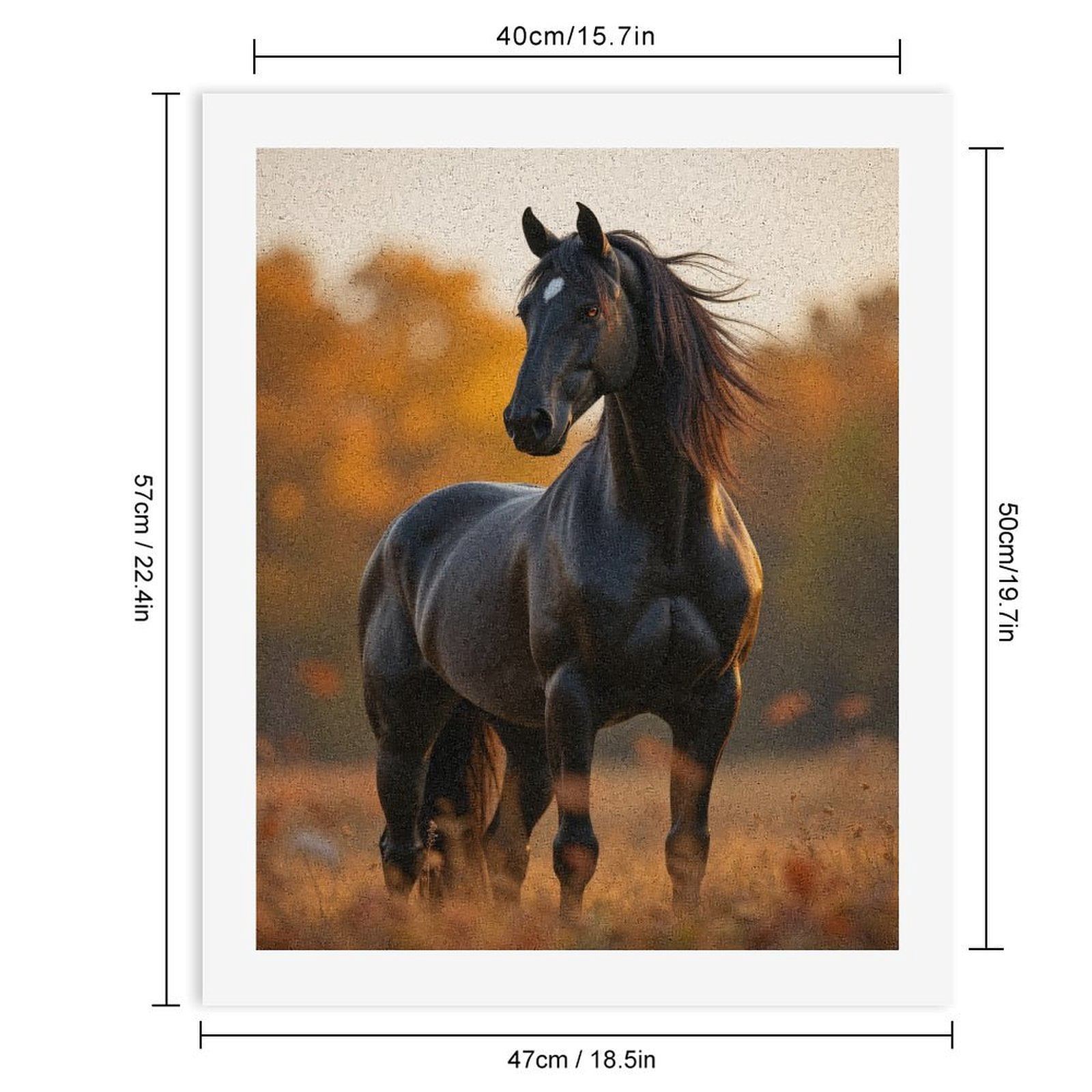 Paint By Numbers Kit for Adults Beginner - DIY Majestic Black Horse Autumn Field Canvas Painting Kits for Adults, Frameless Paint By Number for Adults for Home Wall Decor 16x20 Inch
