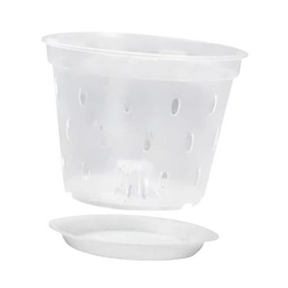 Maceta para orquídeas transpirable con agujeros, transparente, para interior 5 pulgadas con platillo