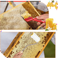 thumbnail image 4 of Honey Harvesting Beekeeping Tool Set Double Sieve Honey Strainer, Frame Grip, Coverless Fork, Coverless Needle Roller, 4 of 6