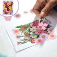 thumbnail image 2 of Flor seca en relieve flores decorativas artesanales artesanales plantas de ramo floral suministro de hogar para tarjetas de boda velas de resina primavera Methold HA010744-02, 2 of 7
