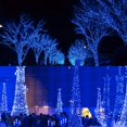 thumbnail image 2 of Cadena de luces LED LJLNION 300, 30 m, azul, resistente al agua, 110 V, 2 of 8