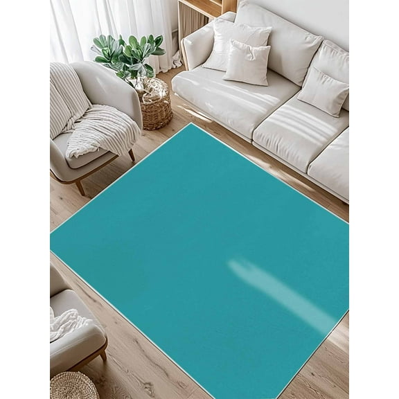 Teal Area Rug for Bedroom 5x7 Ft Solid Color Super Soft fuzzy Throw Rug Non-Slip Fluffy Plush Indoor Floor Carpet for Living Room Nursery Home Decor