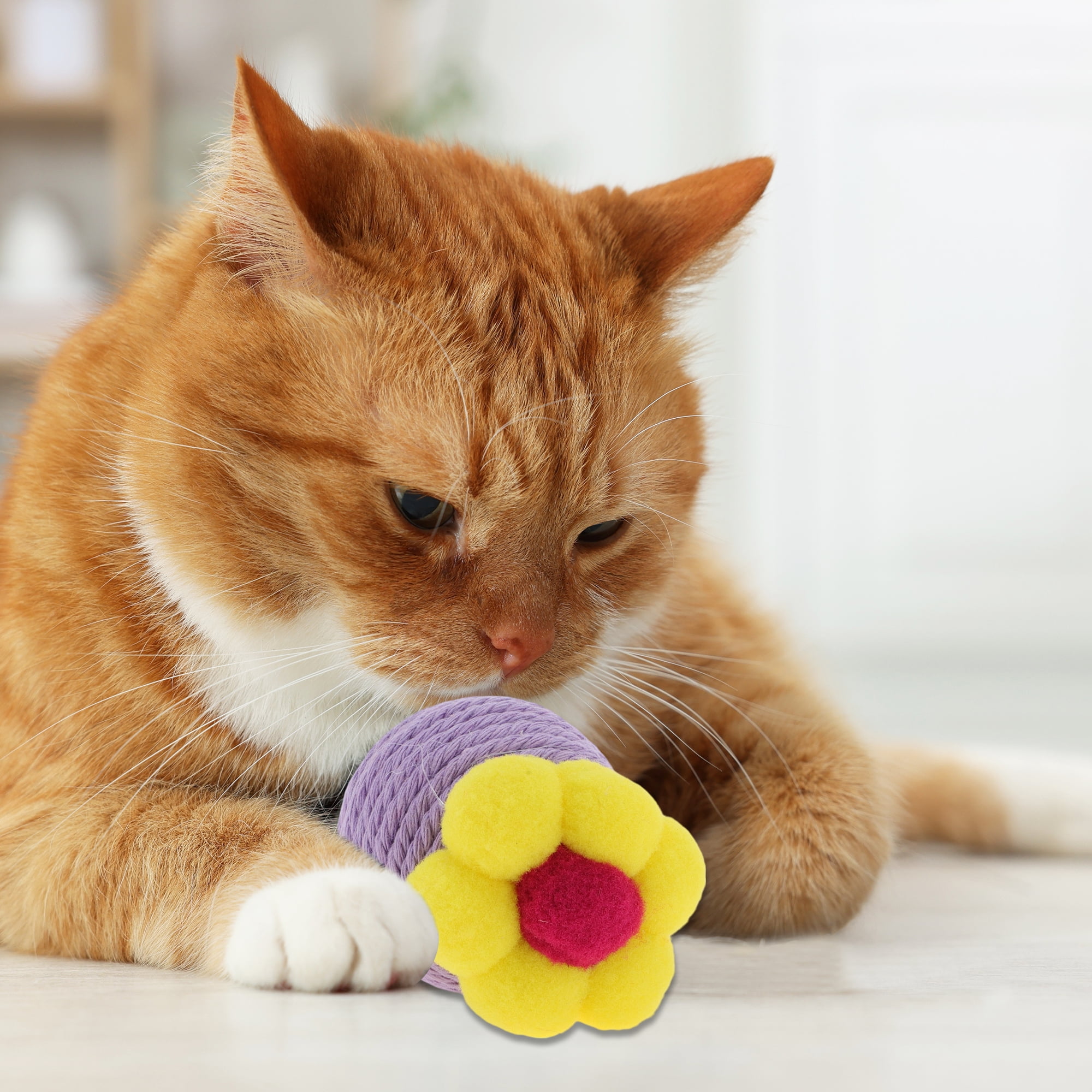 Unique Bargains Safe Teeth Cleaning Chew Balls Purple
