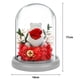 thumbnail image 2 of Cubierta de cristal con luces de oso flocado, flor eterna, rosa, regalos navideños, regalos de cumpleaños para familiares y amigos, 2 of 5