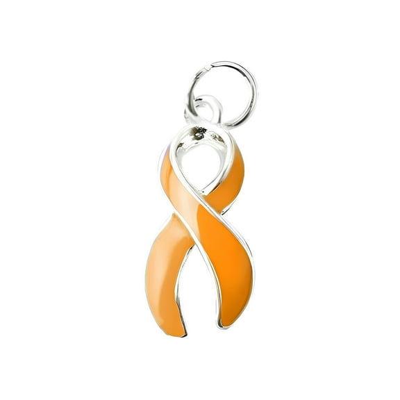 Bulk Kidney Cancer Awareness Charms (25 Charms)