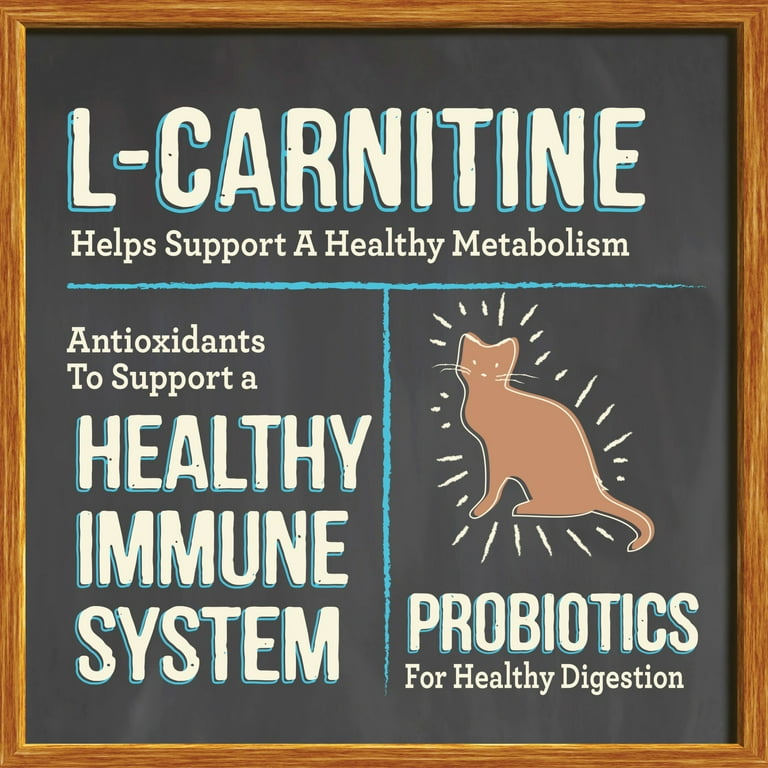 does l carnitine pop on a drug test Nutrex Research L-Carnitine 3000 Liquid Workout Drink 31 Servings Lunar Pop  Stimulant-Free