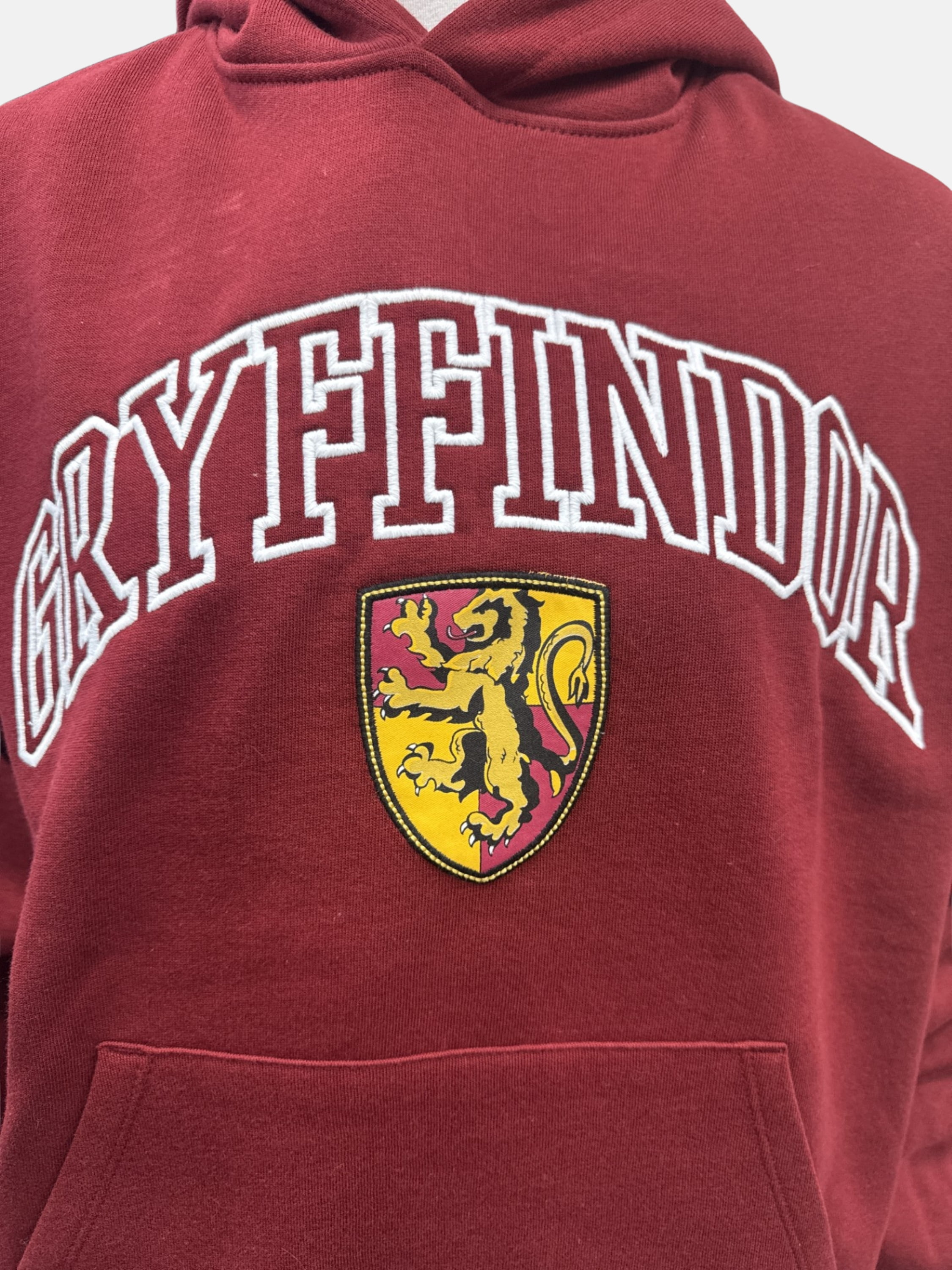 Harry Potter Gryffindor Adult Pullover Hoodie, S-XL
