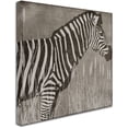 thumbnail image 2 of Trademark Fine Art "Zebra" Canvas Art by Color Bakery, 2 of 3