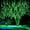 Green, variant on Zhangyh Solar Meteor Shower Lights,30cm 10 Tubes 360LED Falling Raindrop Cascading Icicle Fairy Lights,Decorative rain String Lights for Holiday Party Wedding Christmas Tree Decoration