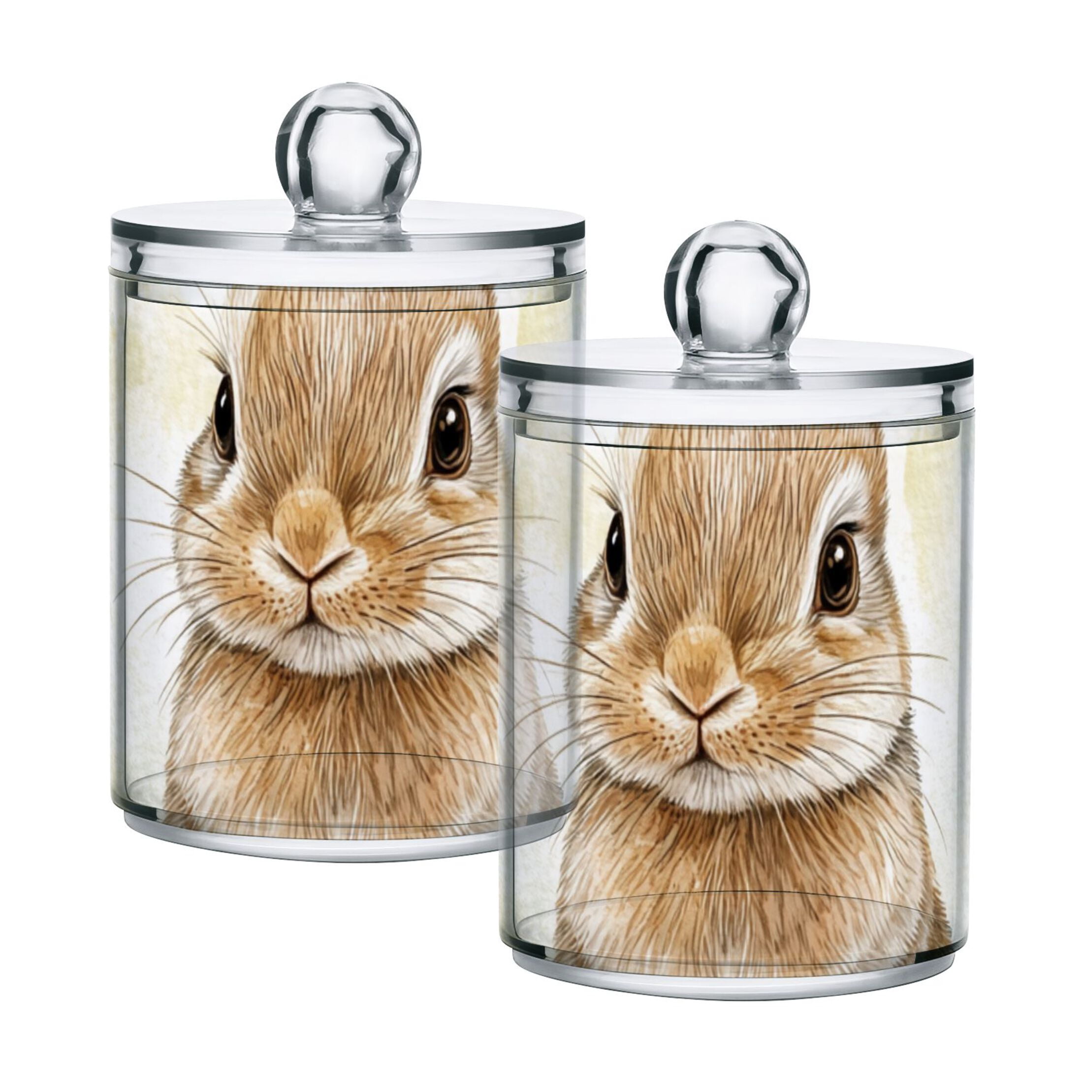 Ckdifva Bunny Easter Eggs Rabbit Storage Jar with Lid Acrylic Organization Storage Containers Set of 4