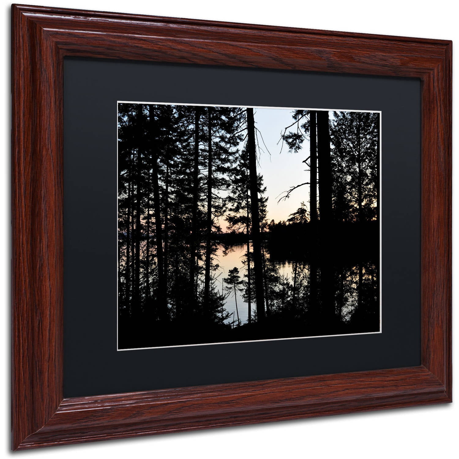 Trademark Fine Art 'Sunset Through the Trees' Canvas Art by Nicole Dietz, Black Matte, Wood Frame