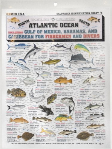 Saltwater Fish Chart Gulf Of Mexico