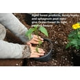 thumbnail image 2 of FoxFarm Ocean Forest Indoor Outdoor Garden Plant Potting Soil Mix, 12 Quart Bag, 2 of 8