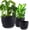 Black, variant on 10/9/8 inch Plant Pots, 3 Pack Plastic Flower Pots Modern Flower Pots with Drainage Holes and Trays are for Indoor and Outdoor Plants, Herbs and Flowers,White Speckles