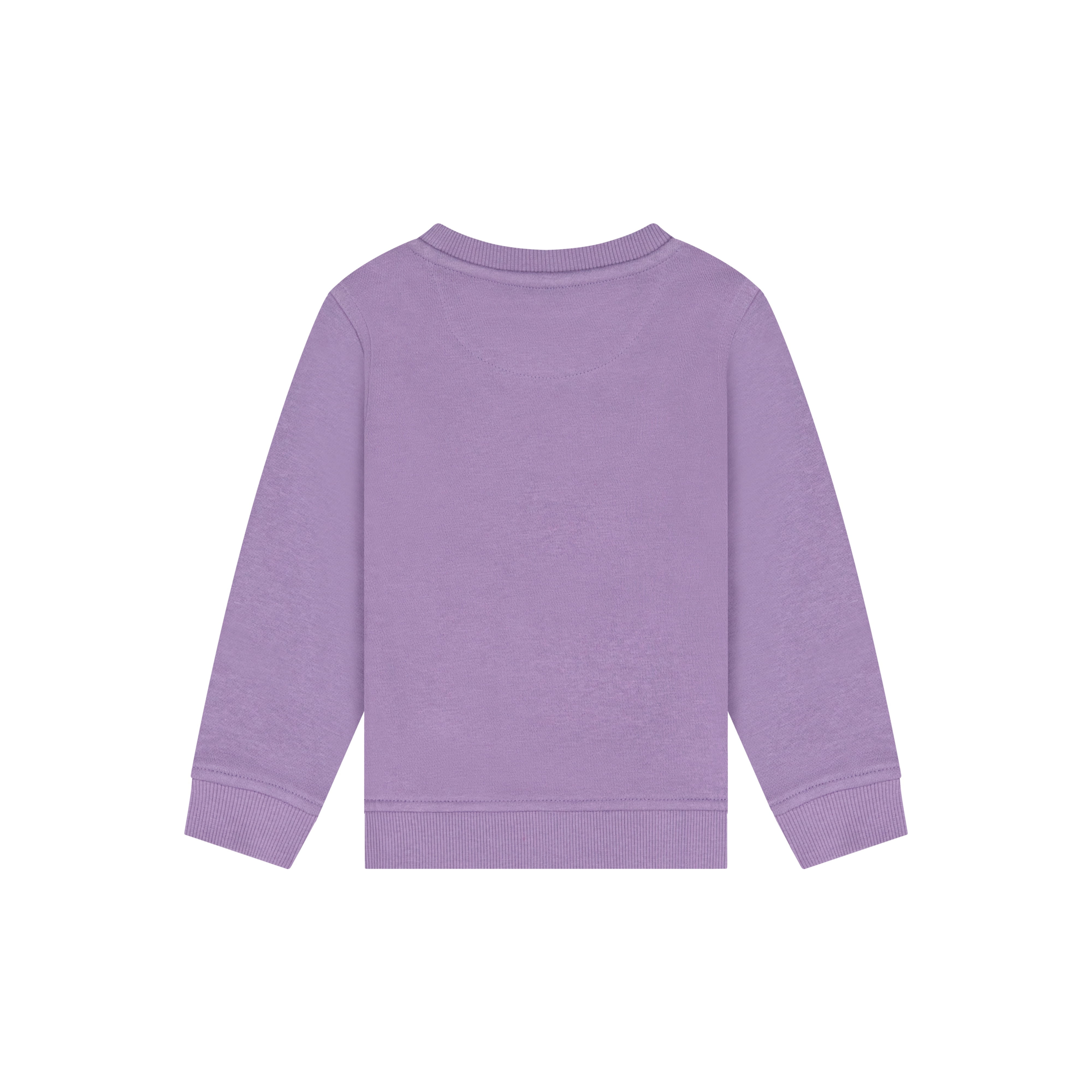 Reebok Toddler Boy Fleece Crewneck Sweatshirt, Sizes 12M-5T