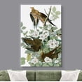 thumbnail image 2 of wall26 Canvas Print Wall Art Mourning Doves by John James Audubon Animals Birds Illustrations Modern Art Rustic Scenic Relax/Calm Multicolor Warm for Living Room, Bedroom, Office - 12"x18", 2 of 5