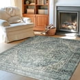 thumbnail image 1 of Pink Area Rug for Living Room Soft Washable Faux Wool Neutral Boho Floral Big Nursery Bed Bedroom Livingroom Carpet Size Extra Large Area Rugs x, 1 of 6