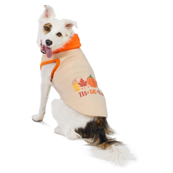 Vibrant Life Halloween Hoodie for Dogs, 'Tis the Season, Yellow and Orange, M