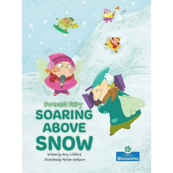 Forecast Fairy: Soaring Above Snow (Paperback)