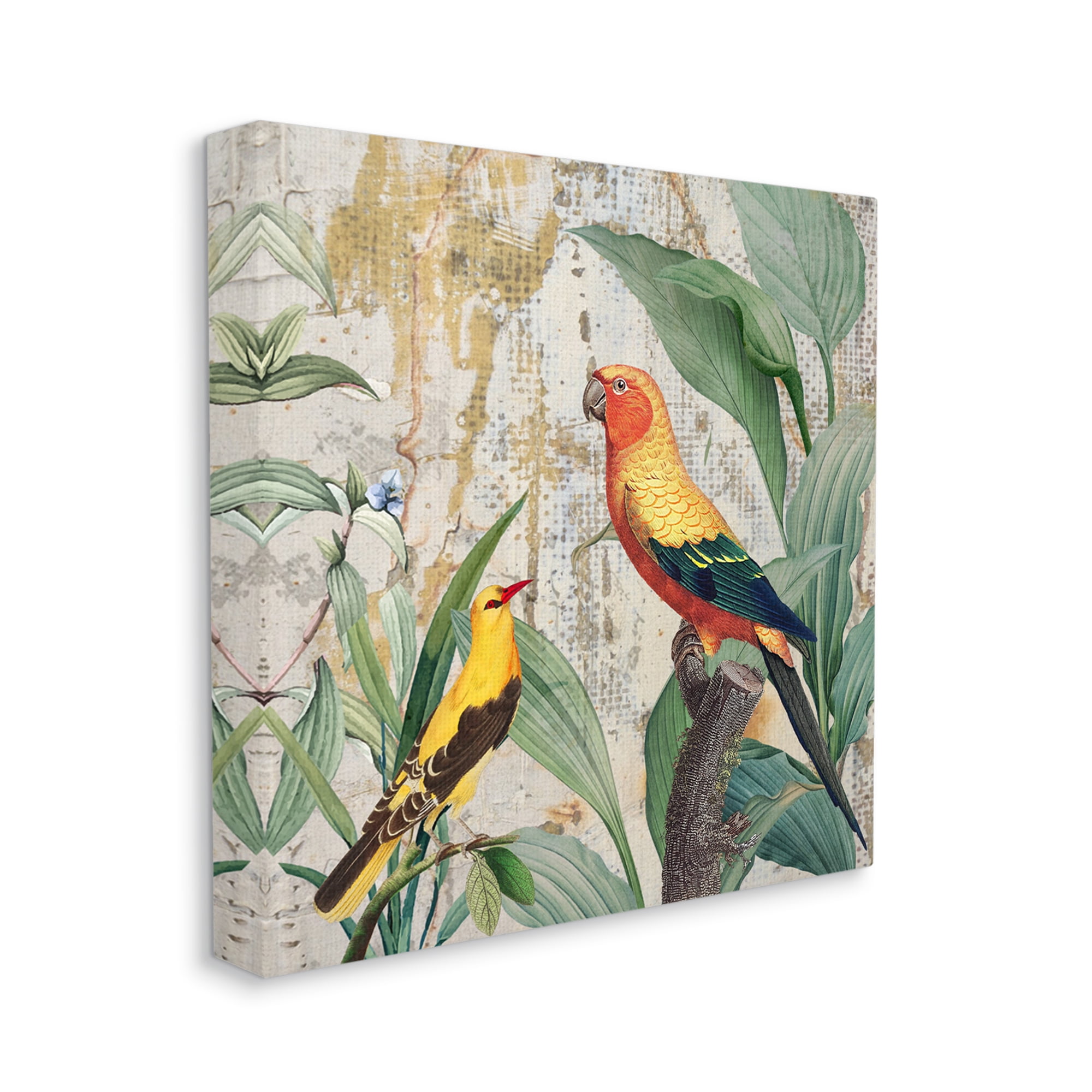 Stupell Industries Perched Birds Collage Animals & Insects Painting Gallery Wrapped Canvas Art Print Wall Art, 17 x 17