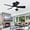 Black+Black Blades, variant on Modern Ceiling Fan with Light: 42-Inch Black Small Fans for Bedroom Indoor Outdoor - Dimmable Low Profile Ceiling Fans with Remote Control Flush Mount 5 Reversible Black Blades 6 Speeds Timer
