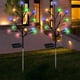thumbnail image 4 of Luz solar decorativa LED nocturna para jardín, exterior, prado, paisajes, 4 of 9