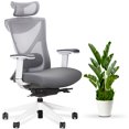 thumbnail image 1 of EFFYDESK KaiChair Fully Adjustable Best Ergonomic Office Chair and Task Chair with Lumbar Support and Posture alignment and 4D armrest (Arctic White), 1 of 10