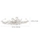 thumbnail image 5 of Zircon Swan Tiara Crowns Queen Hair Hoop Crowns Joyería Accesorios para el cabello para bodas Cumpleaños, 5 of 5